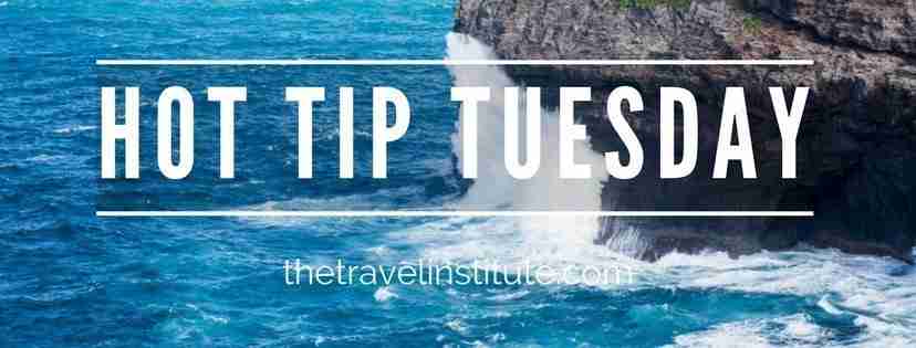 Hot Tip Tuesday logo - rectangle