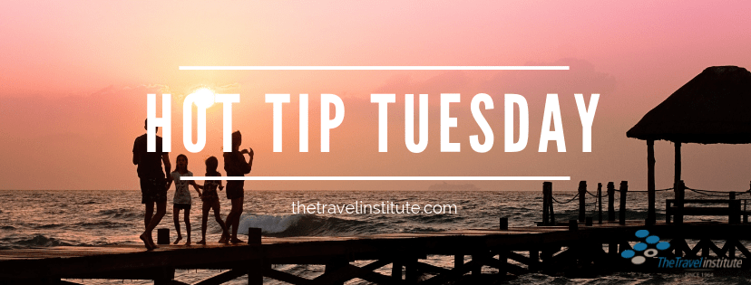 Hot Tip Tuesday logo - Rectangle