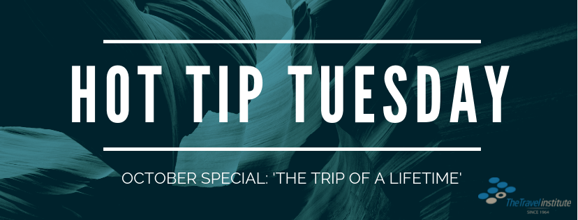 Hot Tip Tuesday logo - Rectangle