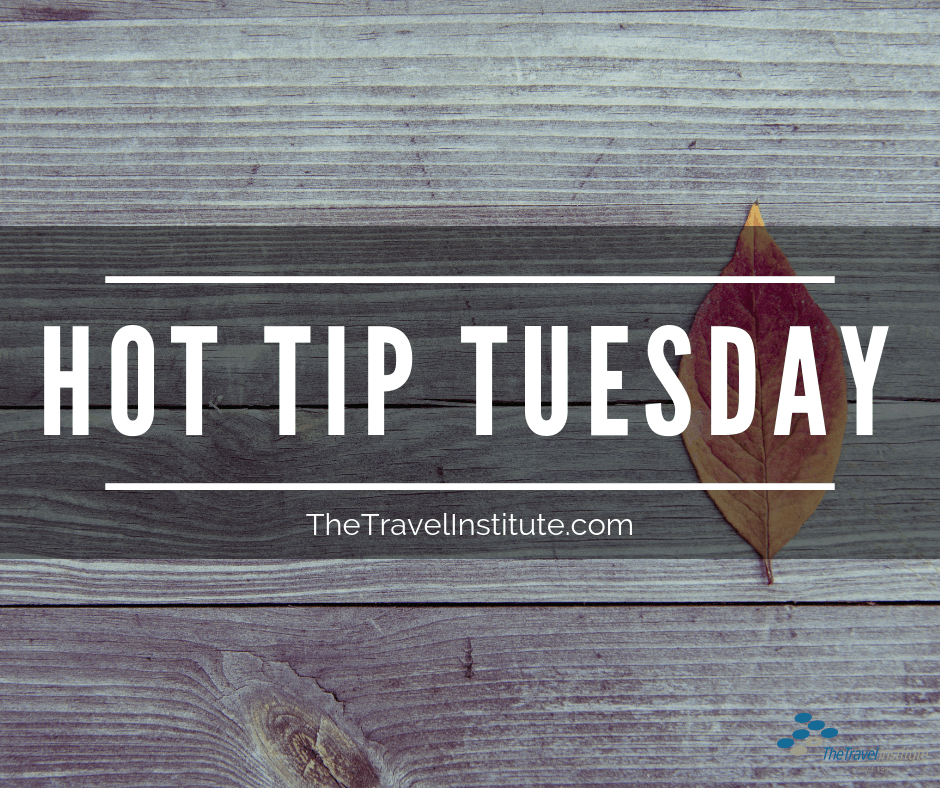 Hot Tip Tuesday logo - square