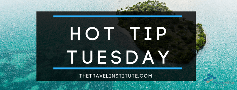 Hot Tip Tuesday logo - Rectangle