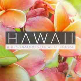Product Image - Destination Specialist Hawaii