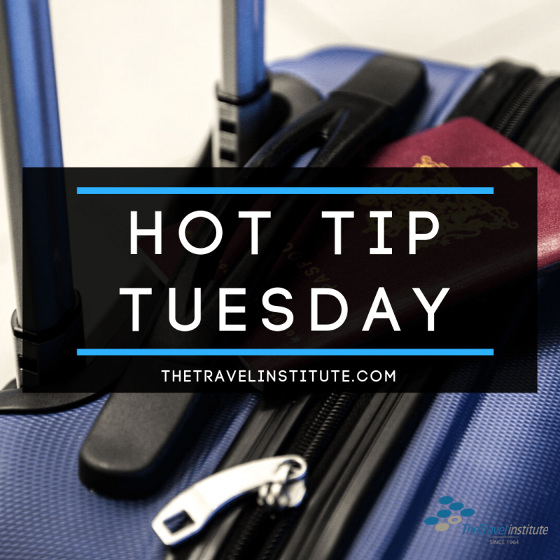 Hot Tip Tuesday logo - Square