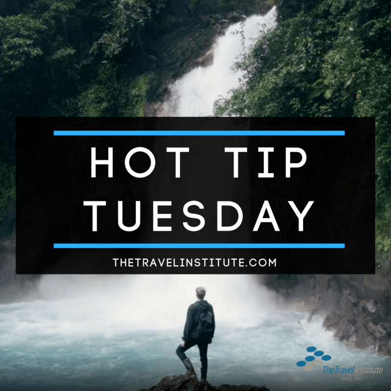 Hot Tip Tuesday logo - Square