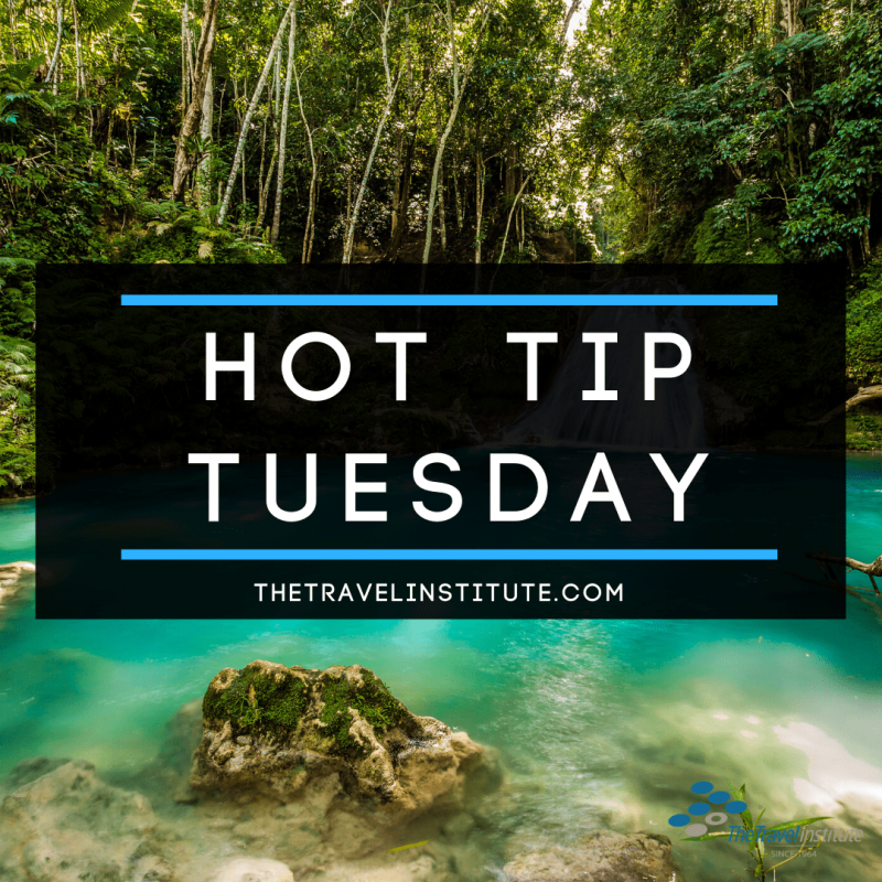 Hot Tip Tuesday logo - Square