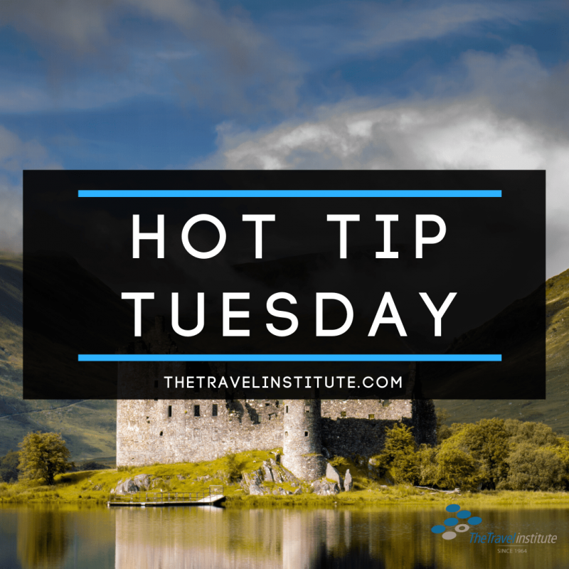 Hot Tip Tuesday logo - Square