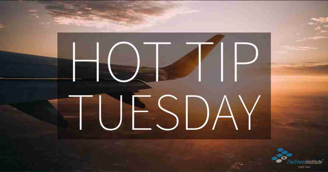 Hot Tip Tuesday Logo - Rectangle