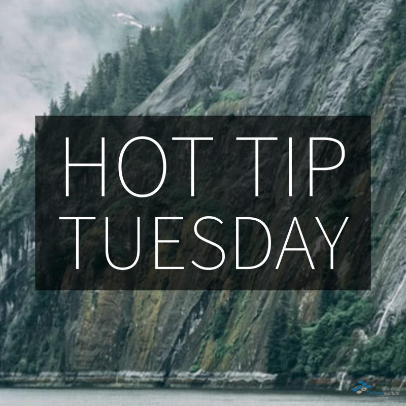 Hot Tip Tuesday logo - Square