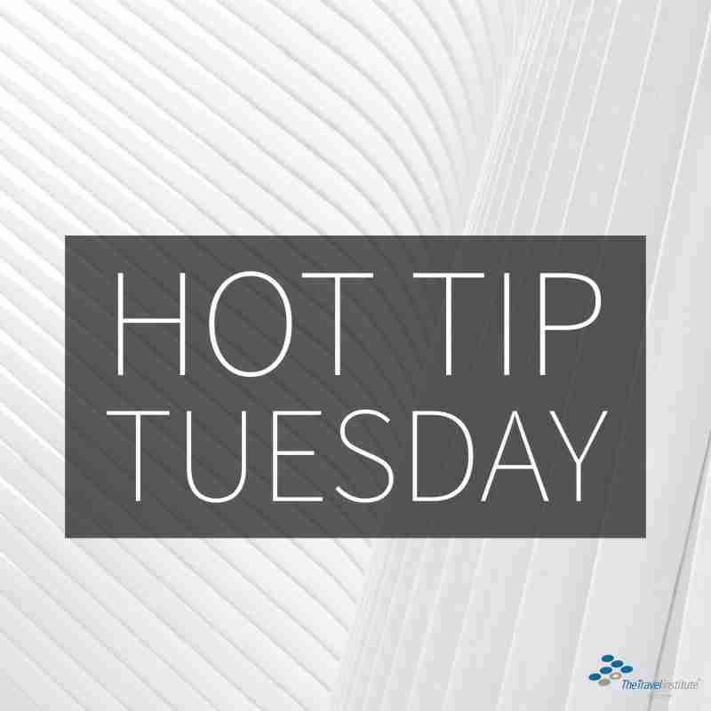 Hot Tip Tuesday logo - Square
