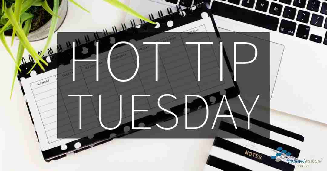 Hot Tip Tuesday Logo - Rectangle