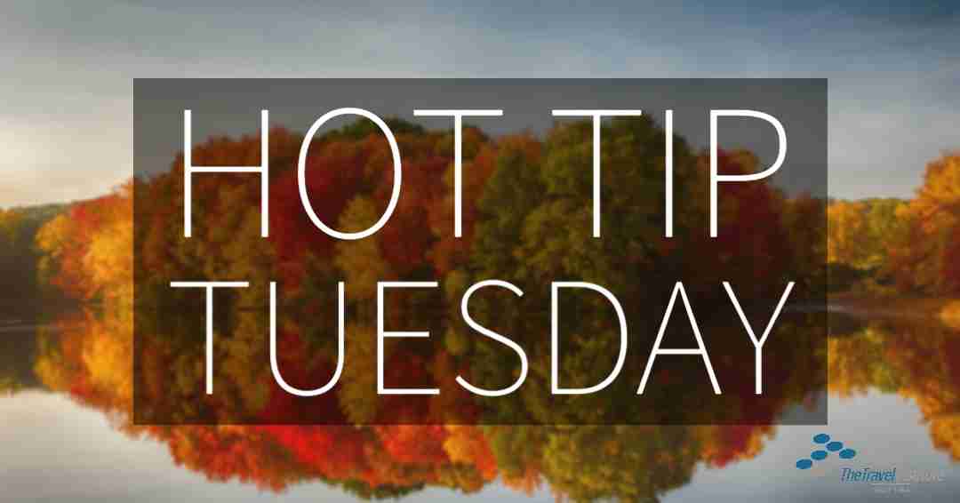 Hot Tip Tuesday logo - rectangle