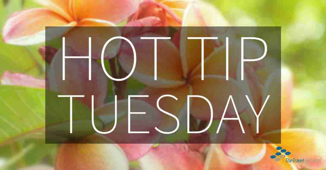 Hot Tip Tuesday logo - rectangle