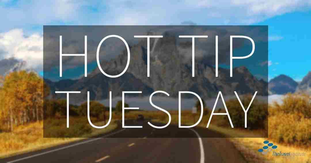 Hot Tip Tuesday Logo - Rectangle