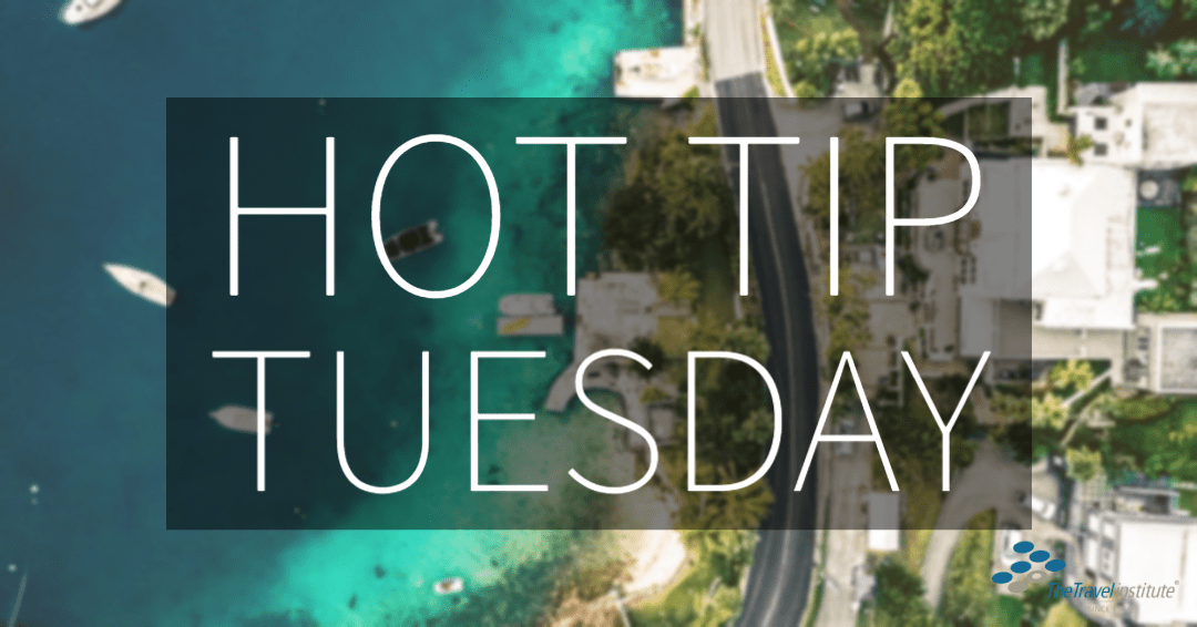 Hot Tip Tuesday Logo - Rectangle