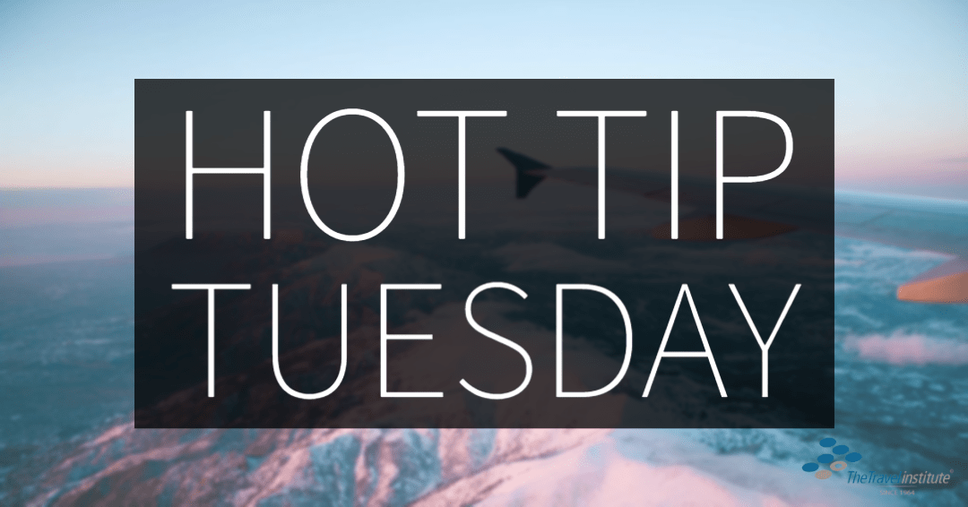 Hot Tip Tuesday logo - Rectangle