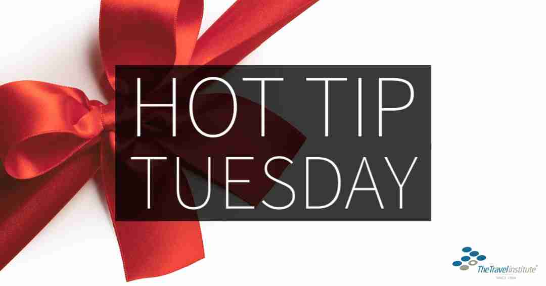 Hot Tip Tuesday logo - Rectangle