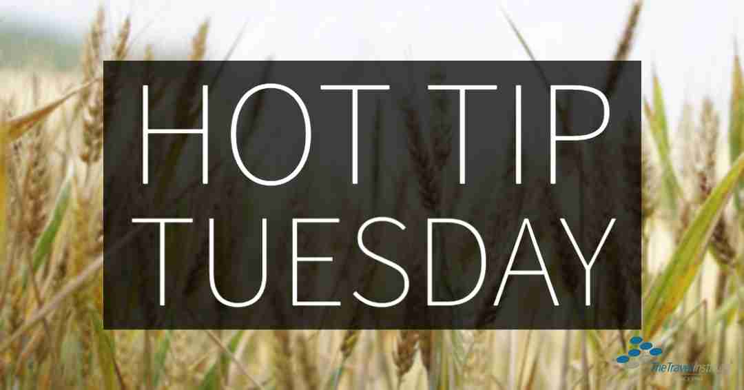 Hot Tip Tuesday Logo - Rectangle