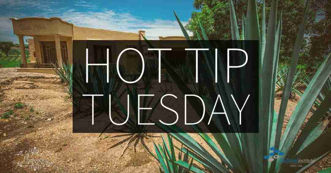 Hot Tip Tuesday logo - Rectangle