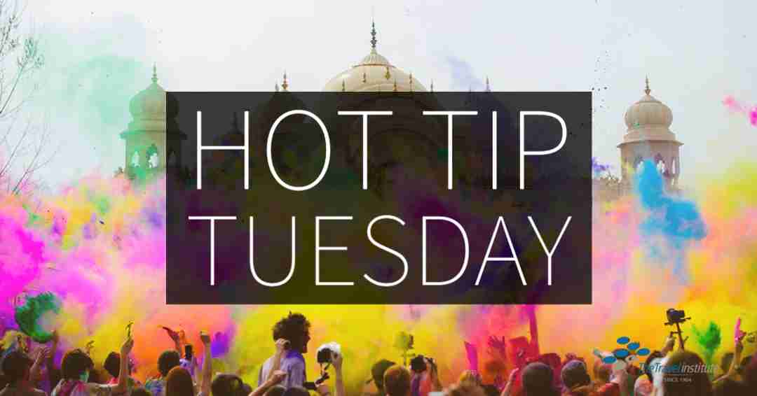 Hot Tip Tuesday logo - Rectangle