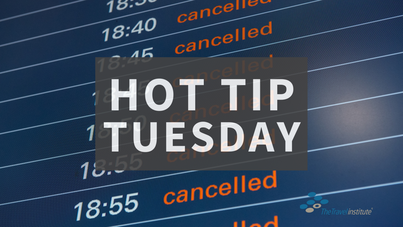 Hot Tip Tuesday - Rectangle logo