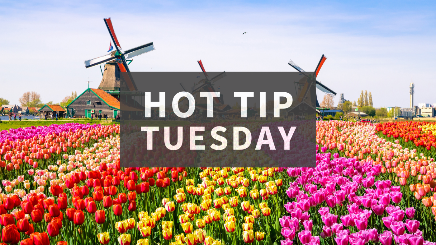 Hot Tip Tuesday - Rectangle Logo