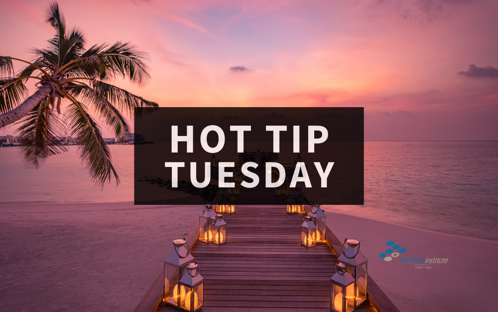 Hot Tip Tuesday - Rectangle logo