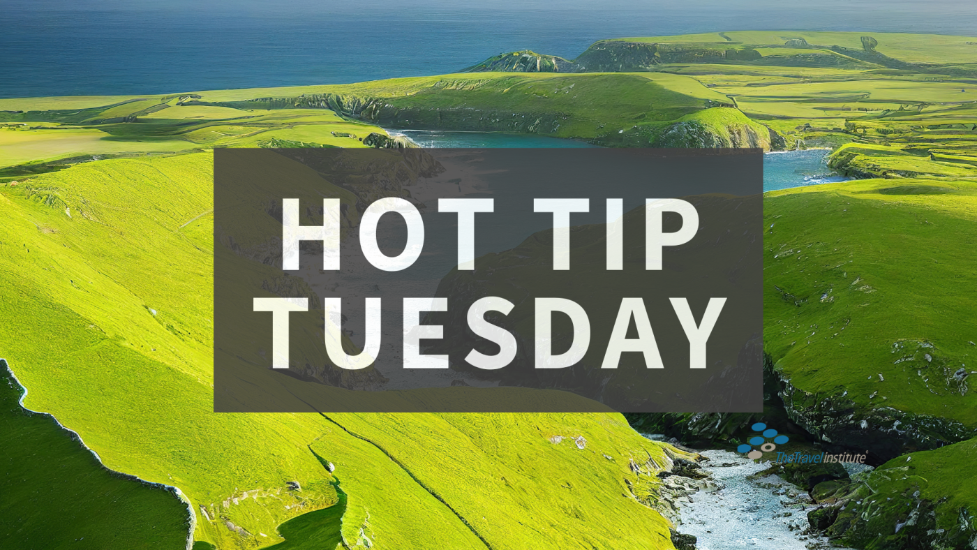 Hot Tip Tuesday Logo - Rectangle