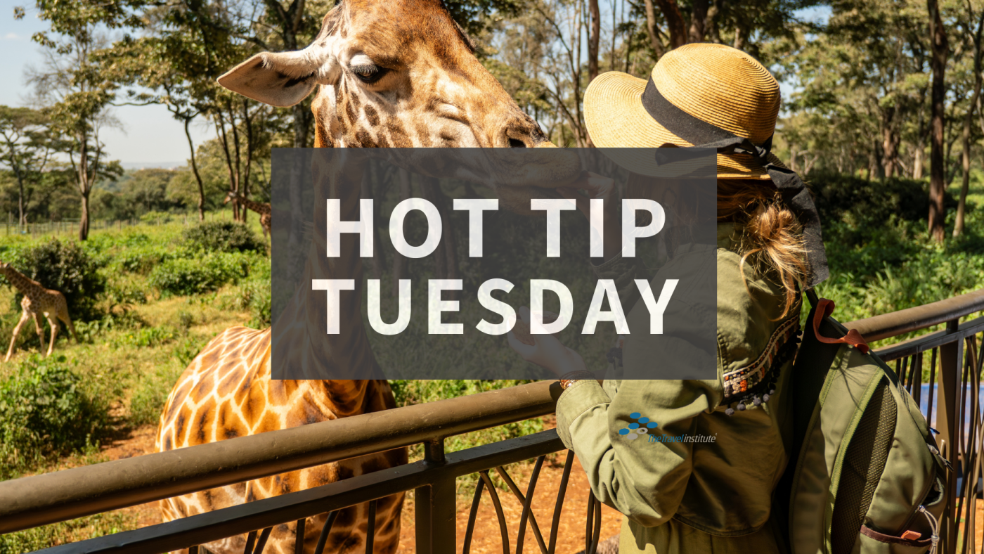 Hot Tip Tuesday - rectangle