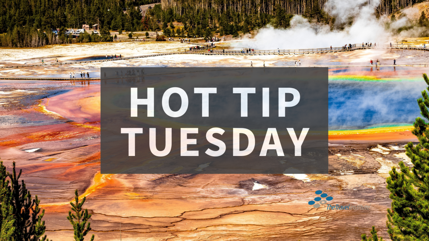 Hot Tip Tuesday logo - rectangle