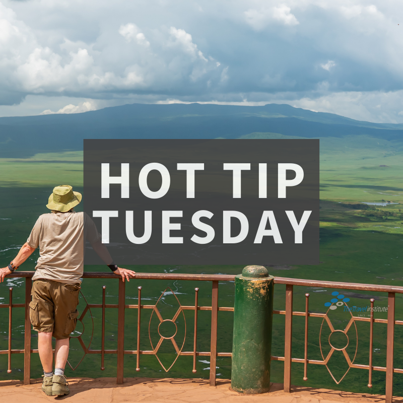 Hot Tip Tuesday - Square Logo