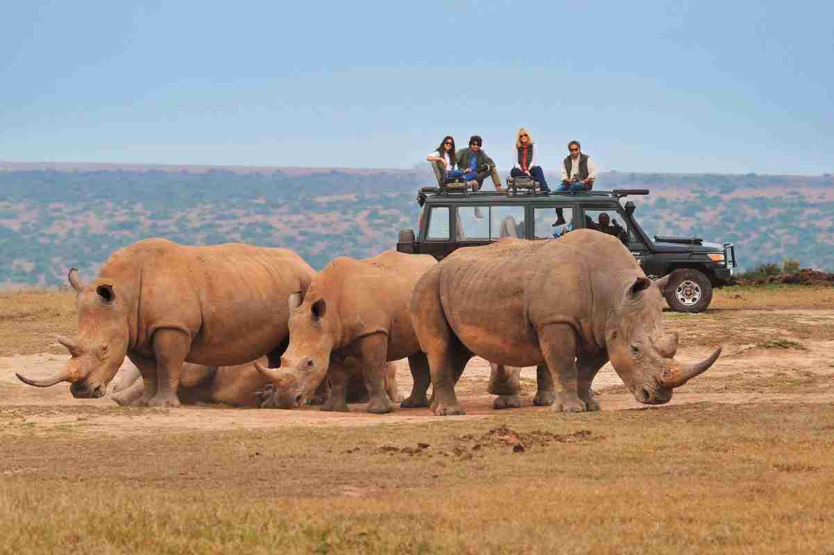 Tourists watching Rinos - photo courtesy of Micato Safaris