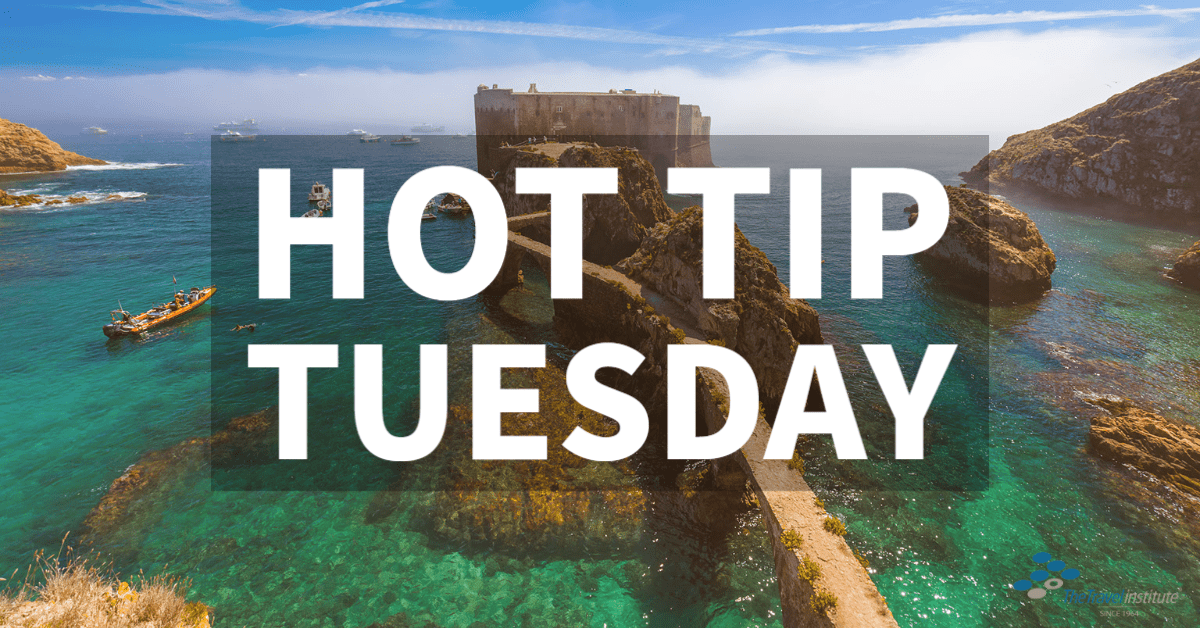 Hot Tip Tuesday logo - rectangle