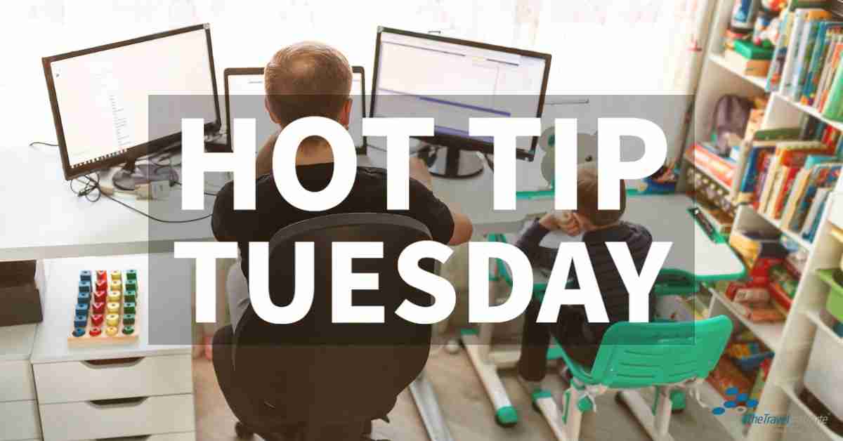 Hot Tip Tuesday logo - Rectangle