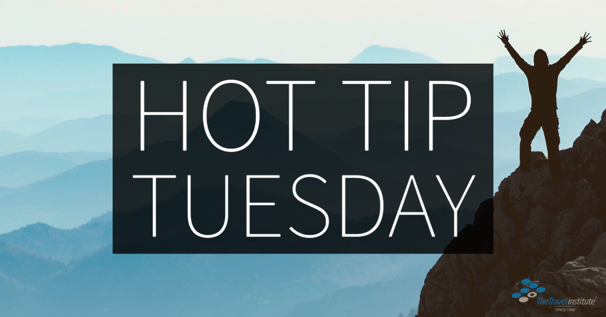 Hot Tip Tuesday logo - Rectangle