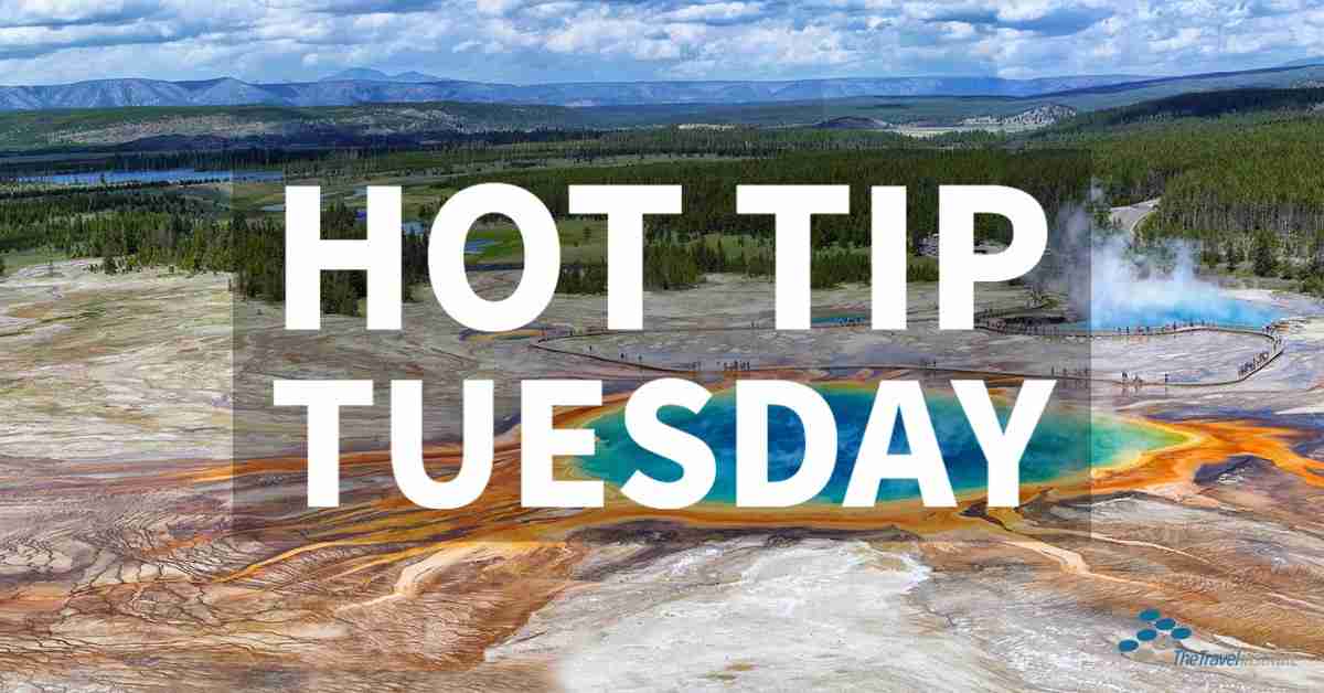 Hot Tip Tuesday logo - Rectangle