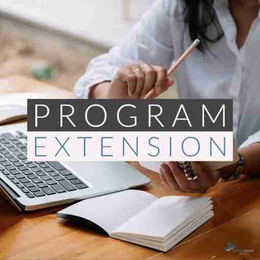 Program Extension product image