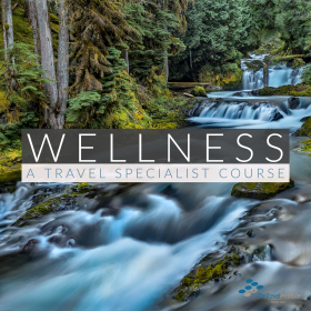 Product Image - Niche Specialist Wellness Travel Specialist