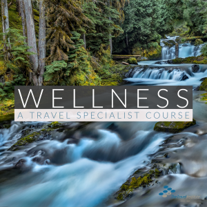 Product Image - Niche Specialist Wellness Travel Specialist