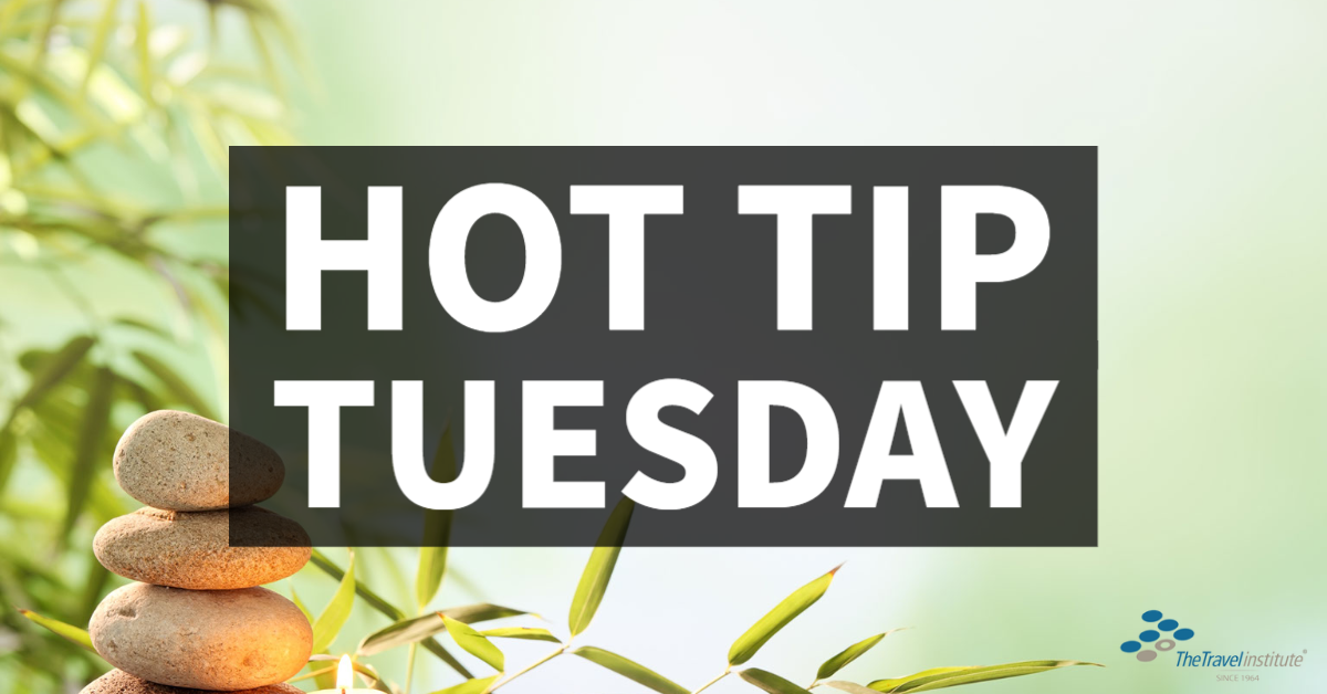 Hot Tip Tuesday logo - Rectangle