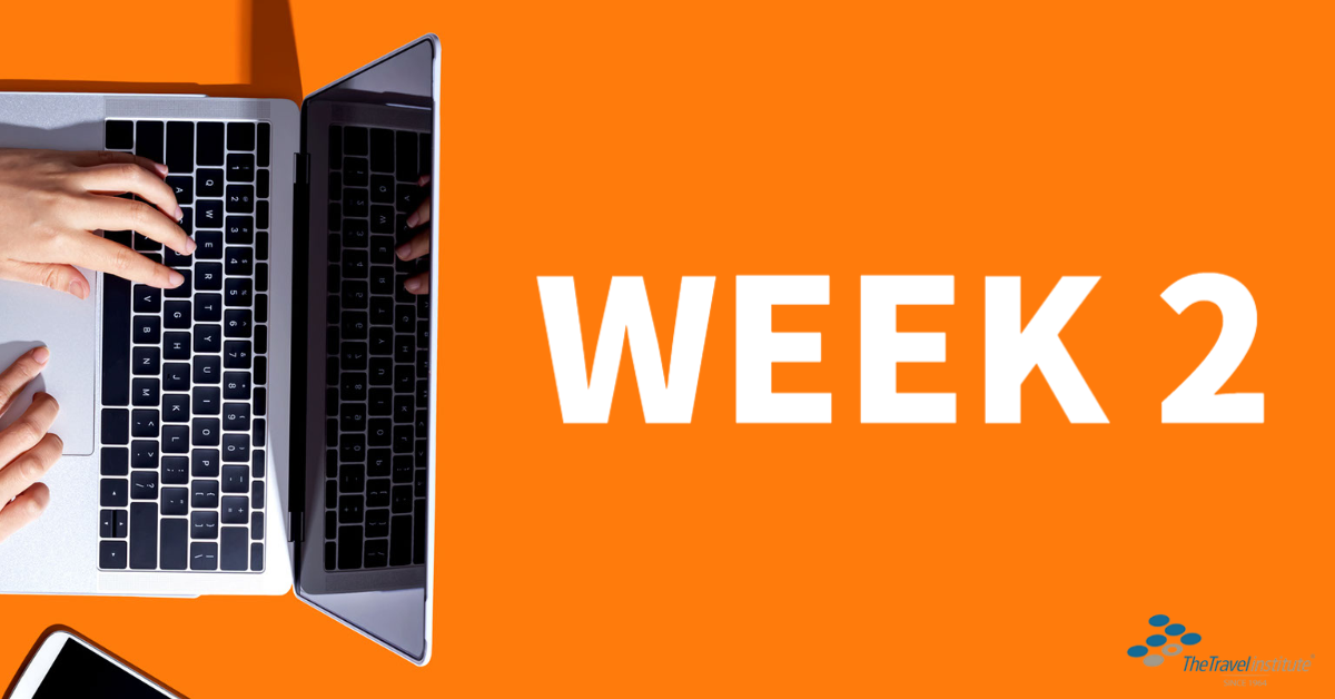 Virtual Executive Institute Week 2 Banner