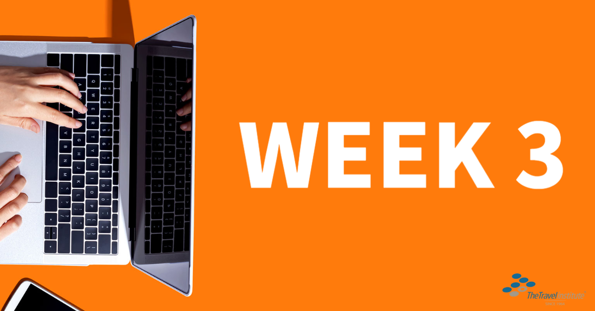 Virtual Executive Institute Week 3 Banner
