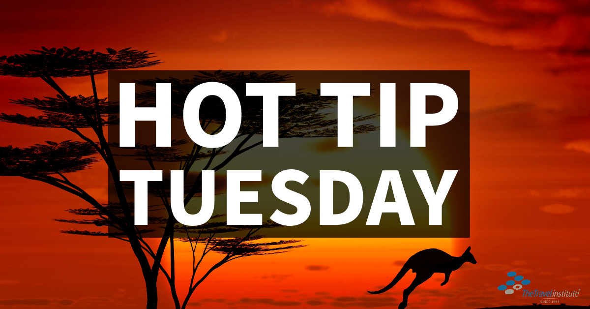 Hot Tip Tuesday Logo - Rectangle