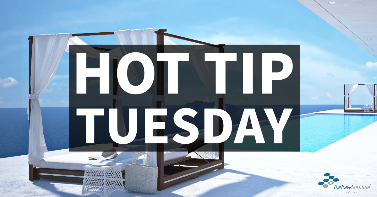 Hot Tip Tuesday logo - Rectangle