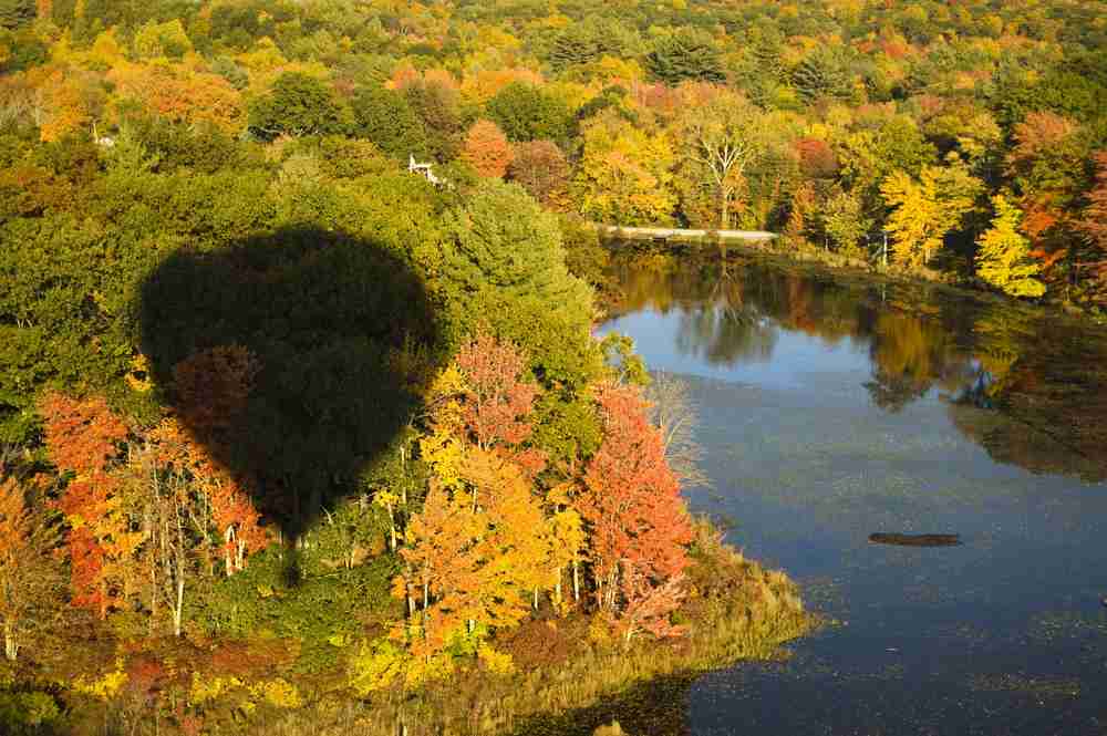 Aerial view of fall foliage with shadow of a hot air balloon in the lower left corner.