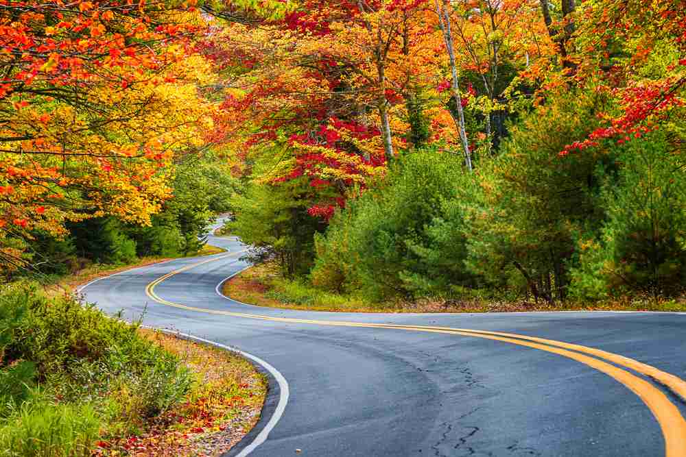 Road winding through autumn foliage