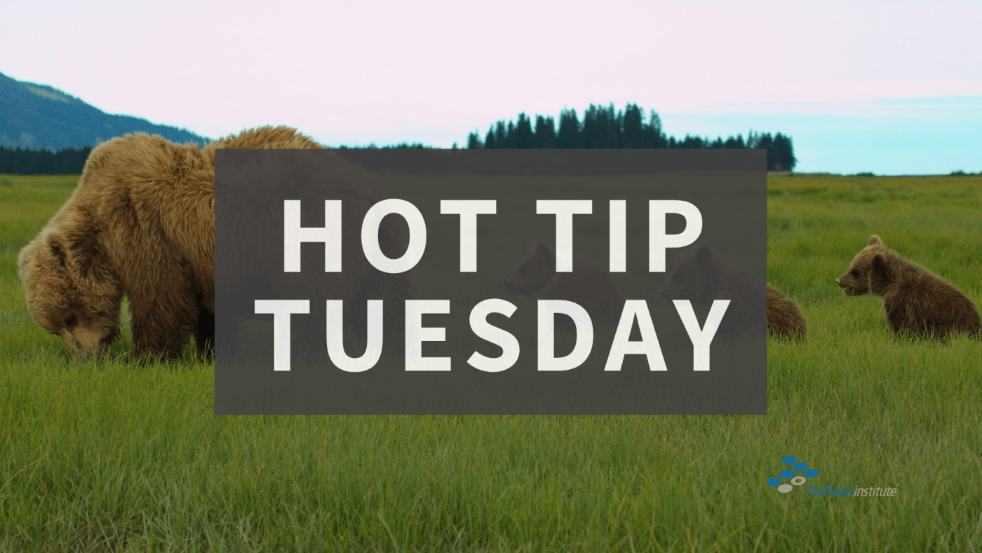 Hot Tip Tuesday Logo - Rectangle