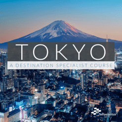 PRODUCT: Tokyo A Destination Specialist Product Image - Night view of Tokyo with Mt. Fuji in the background