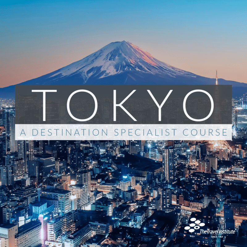PRODUCT: Tokyo A Destination Specialist Product Image - Night view of Tokyo with Mt. Fuji in the background