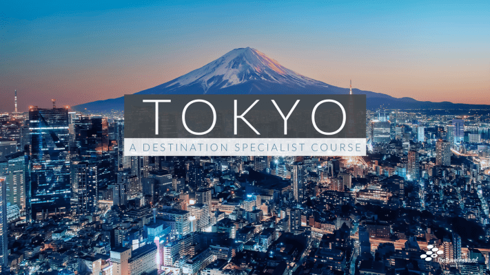 Tokyo A Destination Specialist Product Image - Night view of Tokyo with Mt. Fuji in the background